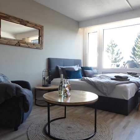Mountain Suite Winterberg Pool Sauna Hund 4 Pers Wifi Near Bikepark 외부 사진
